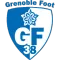 格勒诺布尔